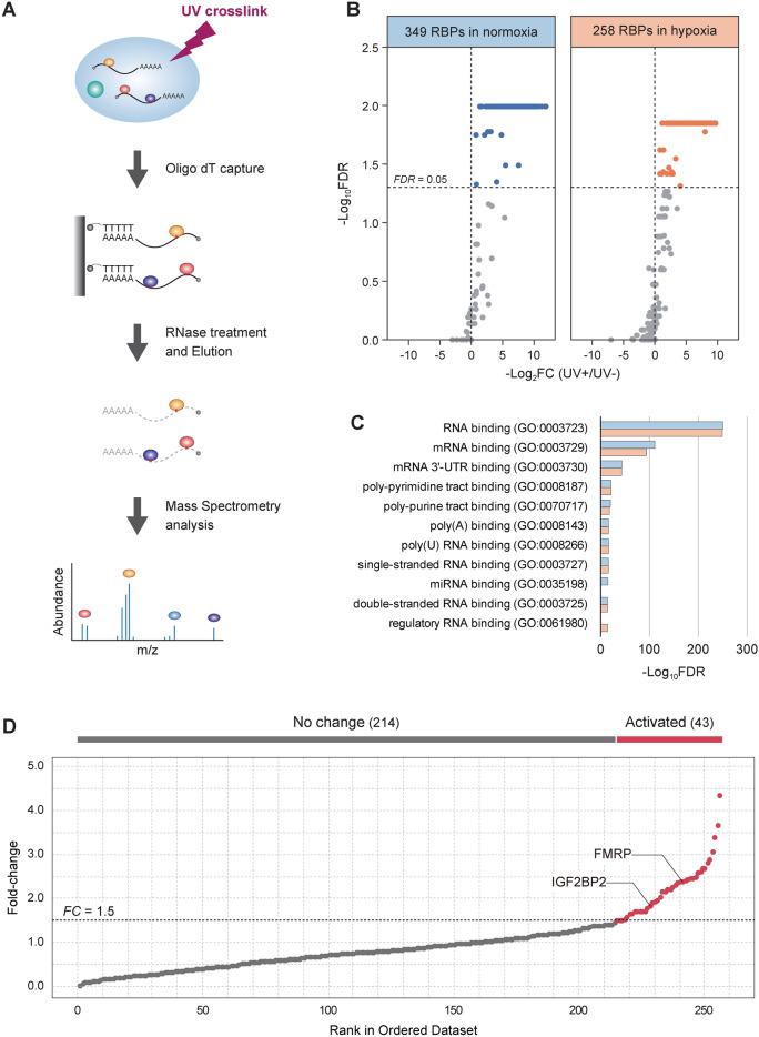https://cdn.ncbi.nlm.nih.gov/pmc/blobs/1ee0/12006372/a78f7a699d16/41598_2025_91828_Fig4_HTML.jpg