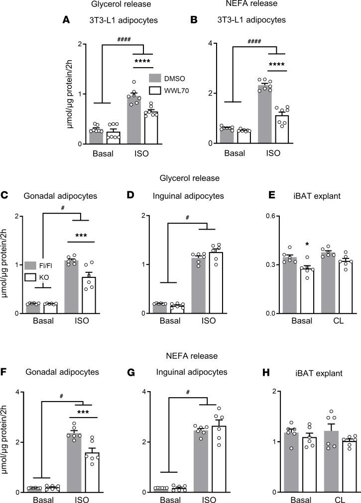https://cdn.ncbi.nlm.nih.gov/pmc/blobs/1ee2/7819748/076f7c9ca88a/jciinsight-5-140294-g033.jpg