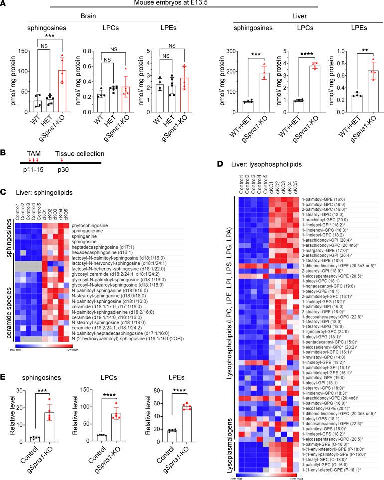 https://cdn.ncbi.nlm.nih.gov/pmc/blobs/1ee3/11141868/1a79abc32885/jciinsight-9-175462-g103.jpg