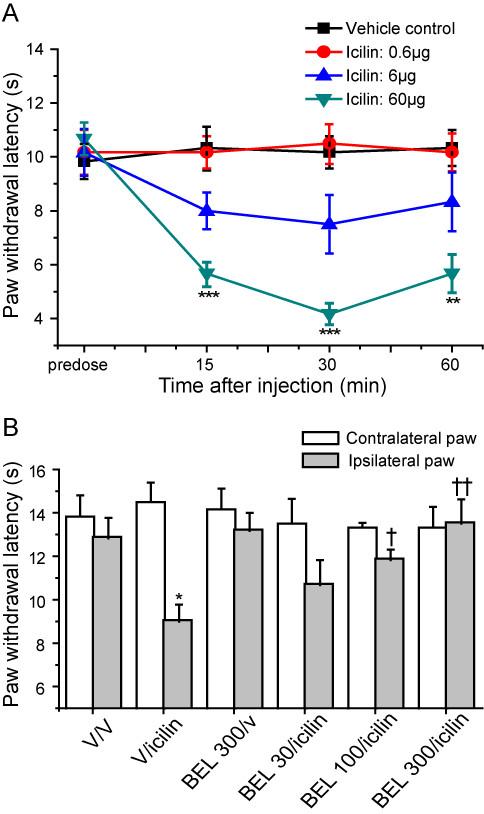 https://cdn.ncbi.nlm.nih.gov/pmc/blobs/1ee3/2822744/bd427835f2d0/1744-8069-6-4-2.jpg