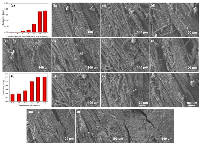 https://cdn.ncbi.nlm.nih.gov/pmc/blobs/1ee3/9332177/a68baf3151bd/polymers-14-03030-g004.jpg