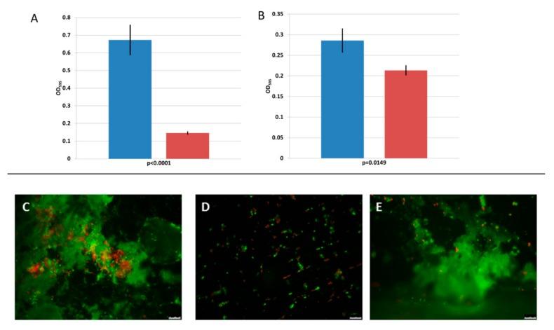 https://cdn.ncbi.nlm.nih.gov/pmc/blobs/1ee5/6723838/d397a751c22b/viruses-11-00722-g004.jpg