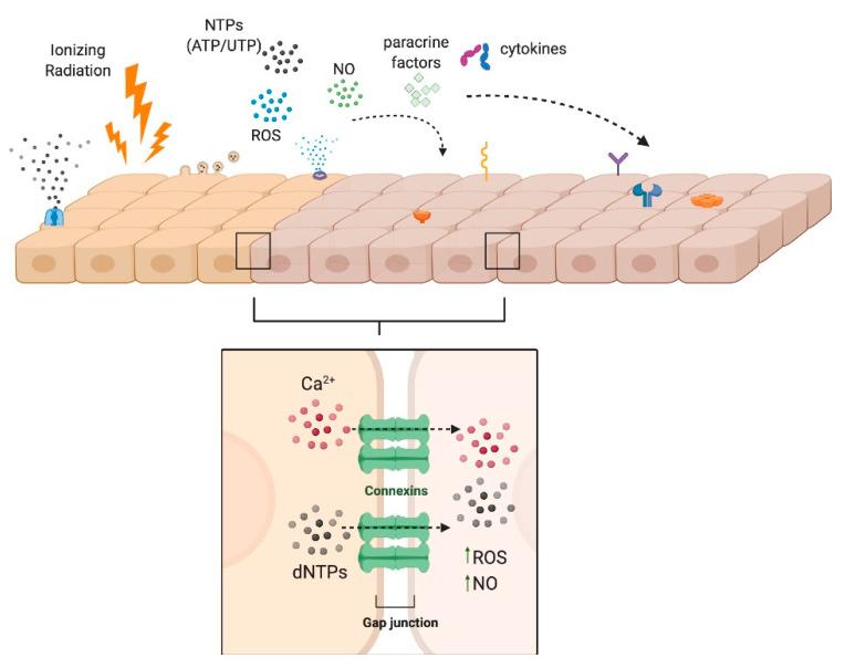 https://cdn.ncbi.nlm.nih.gov/pmc/blobs/1ee5/7767137/da511affdc9a/jcm-09-04095-g002.jpg
