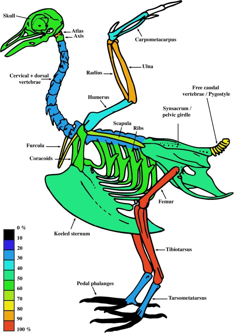 https://cdn.ncbi.nlm.nih.gov/pmc/blobs/1ee6/6407237/540fdf1d43ab/12862_2019_1402_Fig3_HTML.jpg