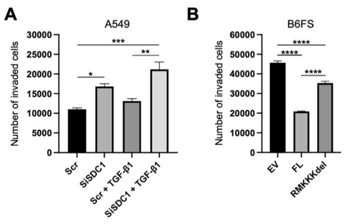 https://cdn.ncbi.nlm.nih.gov/pmc/blobs/1ee6/8230654/c7c46b991af4/biology-10-00521-g007.jpg