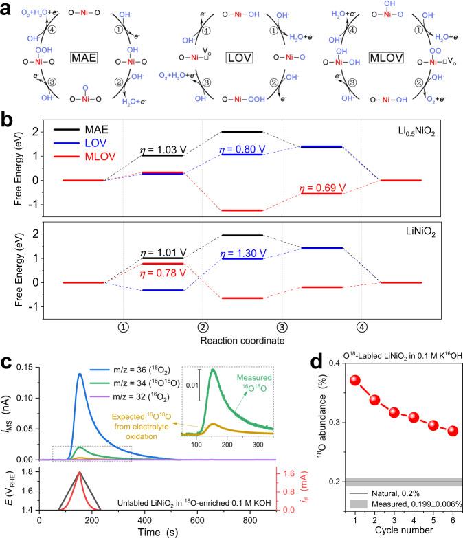 https://cdn.ncbi.nlm.nih.gov/pmc/blobs/1ee9/10102180/685beb626a48/41467_2023_37775_Fig7_HTML.jpg