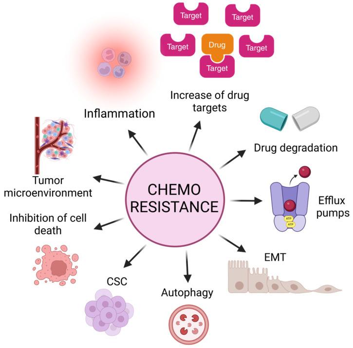 https://cdn.ncbi.nlm.nih.gov/pmc/blobs/1eeb/11940303/d5999db9b9fa/biomolecules-15-00326-g002.jpg