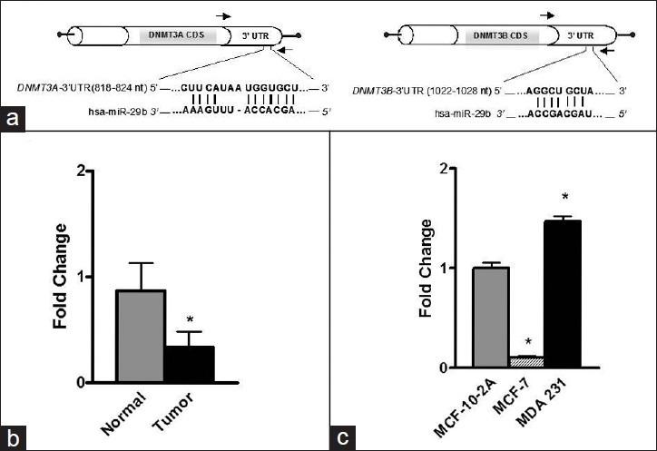 https://cdn.ncbi.nlm.nih.gov/pmc/blobs/1eec/3746452/61857246d2f3/JC-12-15-g006.jpg