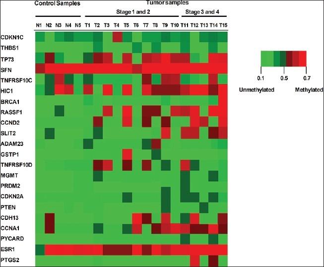 https://cdn.ncbi.nlm.nih.gov/pmc/blobs/1eec/3746452/88335d59892e/JC-12-15-g003.jpg