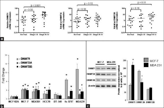 https://cdn.ncbi.nlm.nih.gov/pmc/blobs/1eec/3746452/8a1864dc5c0f/JC-12-15-g005.jpg