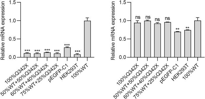https://cdn.ncbi.nlm.nih.gov/pmc/blobs/1ef2/9441485/587c90e6caed/fcell-10-948350-g002.jpg