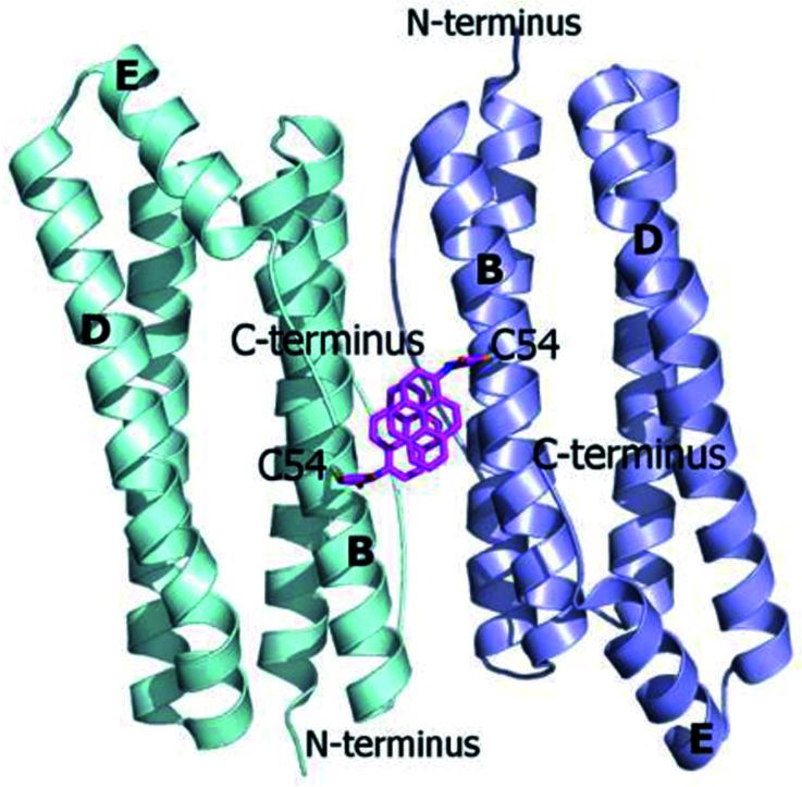 https://cdn.ncbi.nlm.nih.gov/pmc/blobs/1ef3/9079363/5012739ad61e/c8ra00210j-f1.jpg