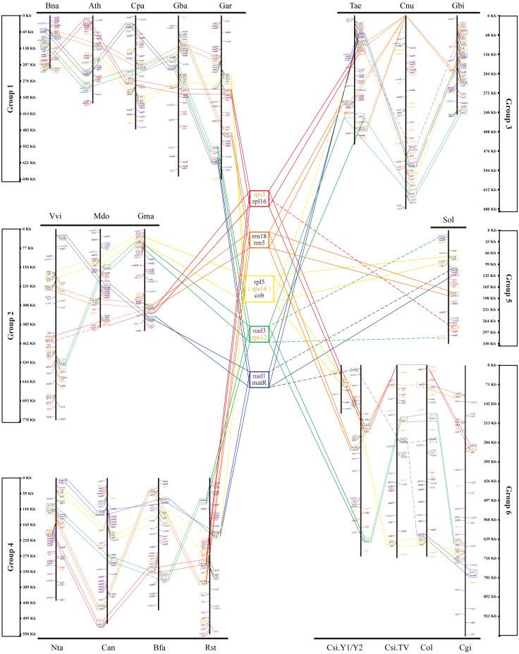 https://cdn.ncbi.nlm.nih.gov/pmc/blobs/1ef4/11405228/35dc24e38a94/fpls-15-1396635-g006.jpg