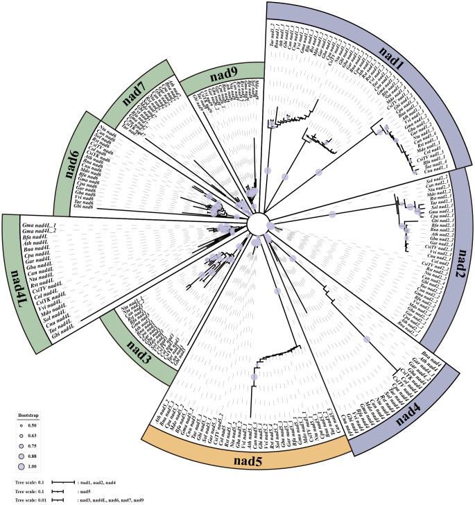 https://cdn.ncbi.nlm.nih.gov/pmc/blobs/1ef4/11405228/ee42fe128a96/fpls-15-1396635-g008.jpg