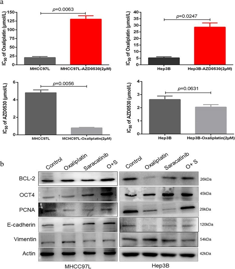 https://cdn.ncbi.nlm.nih.gov/pmc/blobs/1ef4/6958774/64882fd3a76e/12885_2019_6480_Fig2_HTML.jpg