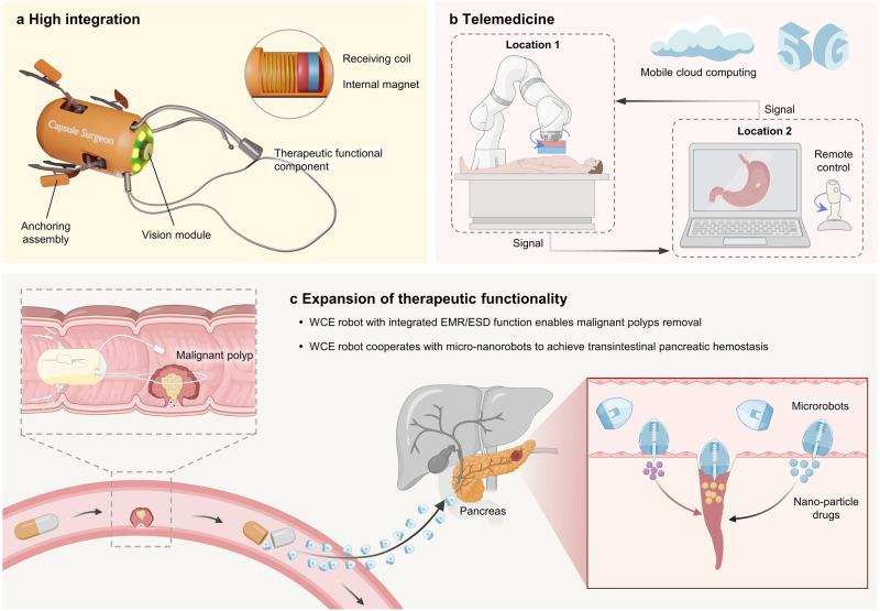 https://cdn.ncbi.nlm.nih.gov/pmc/blobs/1ef5/11139981/525c1b182189/41467_2024_49019_Fig7_HTML.jpg