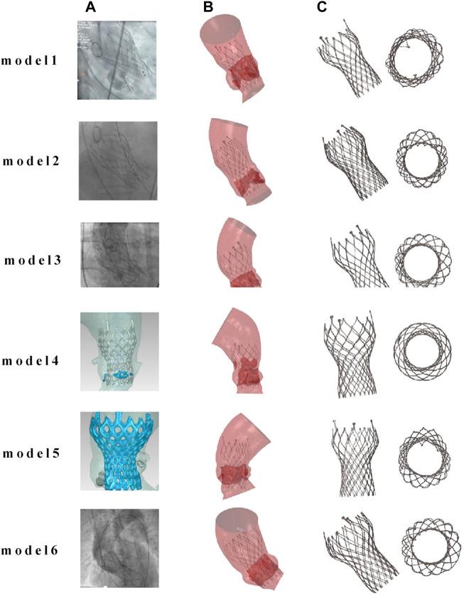 https://cdn.ncbi.nlm.nih.gov/pmc/blobs/1ef5/11187333/5bddad8264b6/fphys-15-1407215-g006.jpg