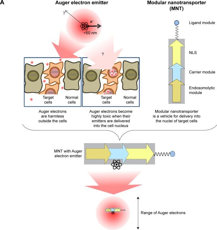 https://cdn.ncbi.nlm.nih.gov/pmc/blobs/1ef5/5413543/3bfb5529d59e/dddt-11-1315Fig1.jpg
