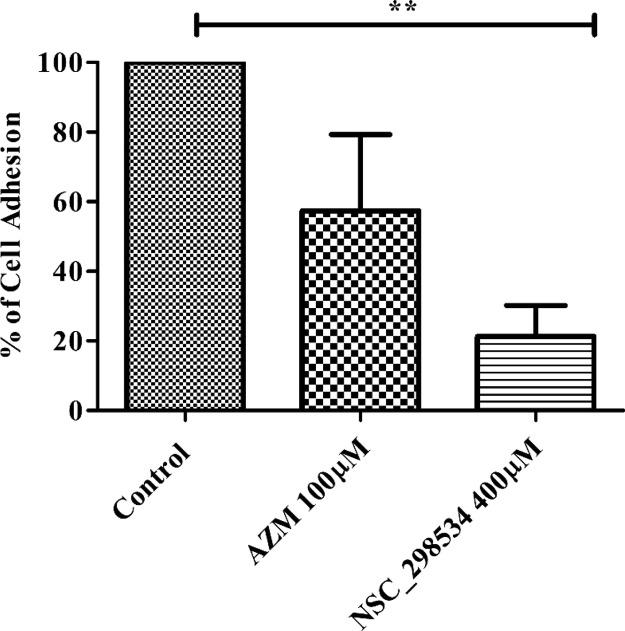 https://cdn.ncbi.nlm.nih.gov/pmc/blobs/1ef5/7057697/1c7f36a56117/ao9b04203_0005.jpg