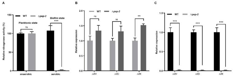 https://cdn.ncbi.nlm.nih.gov/pmc/blobs/1ef6/7911366/5dbcfc95646d/microorganisms-09-00289-g005.jpg