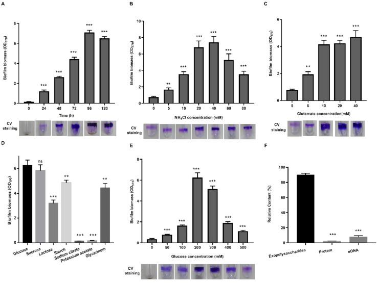 https://cdn.ncbi.nlm.nih.gov/pmc/blobs/1ef6/7911366/aad4f7fd2b3f/microorganisms-09-00289-g001.jpg