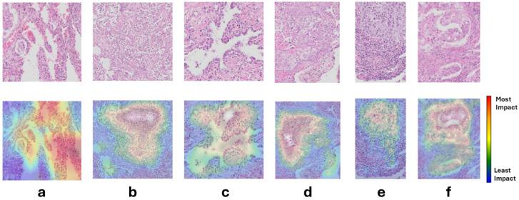 https://cdn.ncbi.nlm.nih.gov/pmc/blobs/1ef7/12112506/a620e76330fc/jimaging-11-00166-g007.jpg
