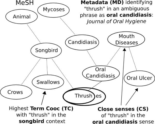 https://cdn.ncbi.nlm.nih.gov/pmc/blobs/1ef7/2663782/dc6d8fb4c1ce/1471-2105-10-28-1.jpg