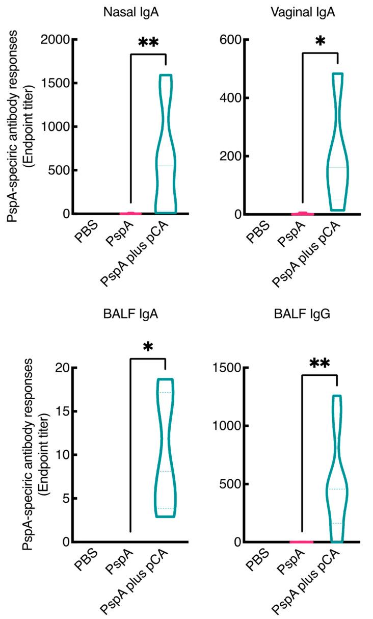 https://cdn.ncbi.nlm.nih.gov/pmc/blobs/1efb/8073337/207af49d6c5b/pharmaceutics-13-00585-g001.jpg