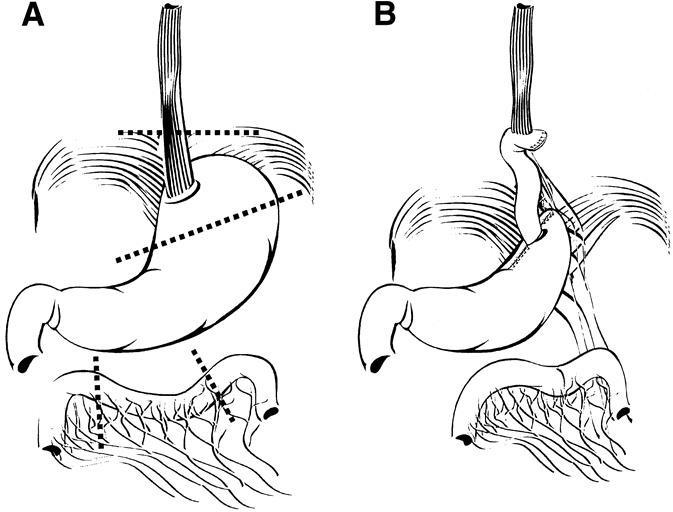 https://cdn.ncbi.nlm.nih.gov/pmc/blobs/1efc/5052494/a25232339c30/JMedLife-02-241-g008.jpg
