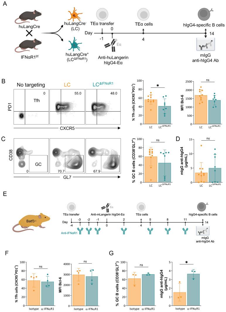 https://cdn.ncbi.nlm.nih.gov/pmc/blobs/1efd/12315773/1ccad44f13f0/fimmu-16-1611812-g002.jpg