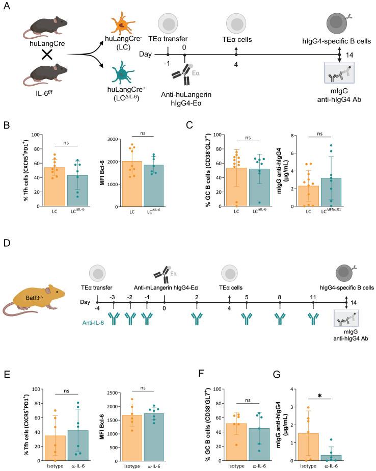 https://cdn.ncbi.nlm.nih.gov/pmc/blobs/1efd/12315773/476fac3c0539/fimmu-16-1611812-g003.jpg
