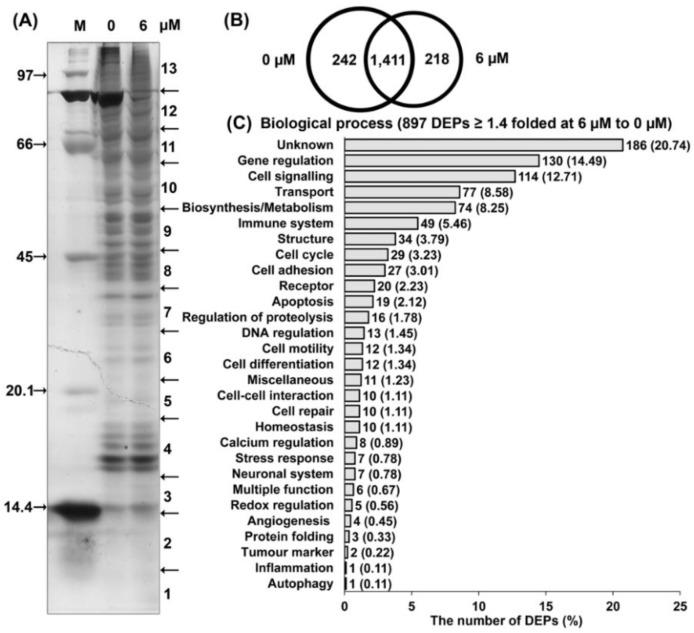 https://cdn.ncbi.nlm.nih.gov/pmc/blobs/1efd/8779136/2bc76bbf6c6b/molecules-27-00407-g003.jpg