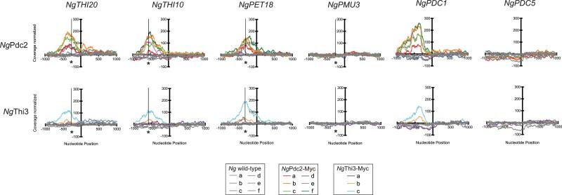 https://cdn.ncbi.nlm.nih.gov/pmc/blobs/1f00/11304959/c5443c81829b/jkae132f7.jpg