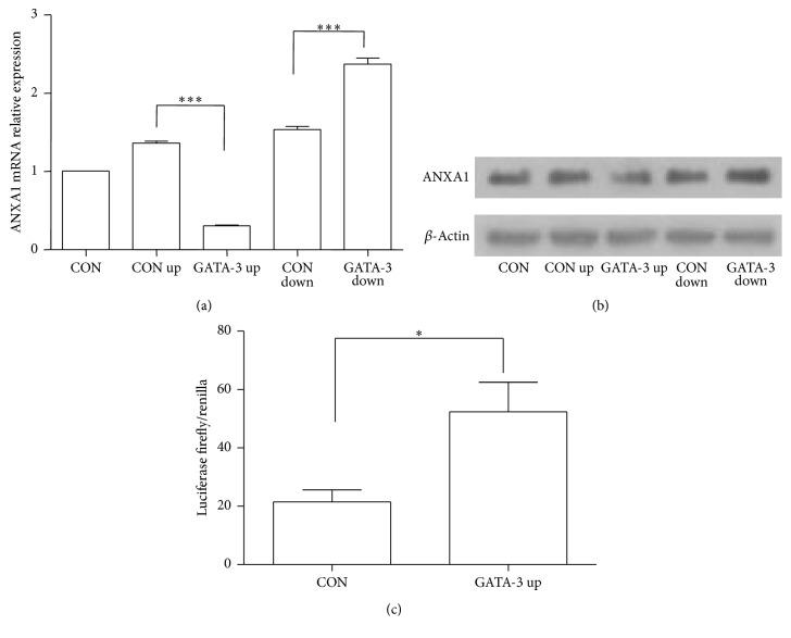 https://cdn.ncbi.nlm.nih.gov/pmc/blobs/1f00/5090097/4000216b0178/MI2016-1701059.005.jpg