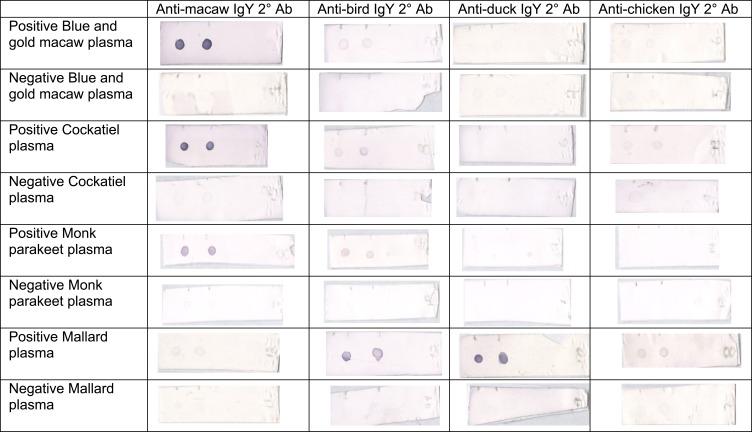 https://cdn.ncbi.nlm.nih.gov/pmc/blobs/1f00/6858837/deed5a6b404f/VMRR-10-141-g0002.jpg