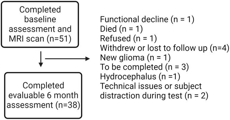 https://cdn.ncbi.nlm.nih.gov/pmc/blobs/1f01/10705220/766fac70b324/cancers-15-05544-g001.jpg