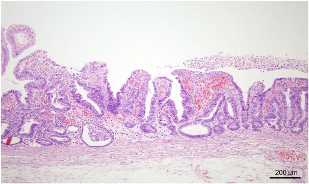 https://cdn.ncbi.nlm.nih.gov/pmc/blobs/1f01/4125421/14d5fd78152a/ccrep-7-2014-067f1.jpg