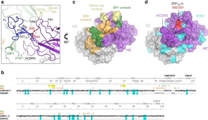https://cdn.ncbi.nlm.nih.gov/pmc/blobs/1f01/6158212/503aed0994de/41467_2018_6113_Fig6_HTML.jpg