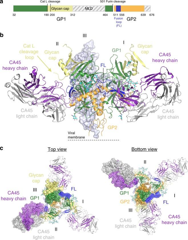 https://cdn.ncbi.nlm.nih.gov/pmc/blobs/1f01/6158212/522643d81b72/41467_2018_6113_Fig1_HTML.jpg
