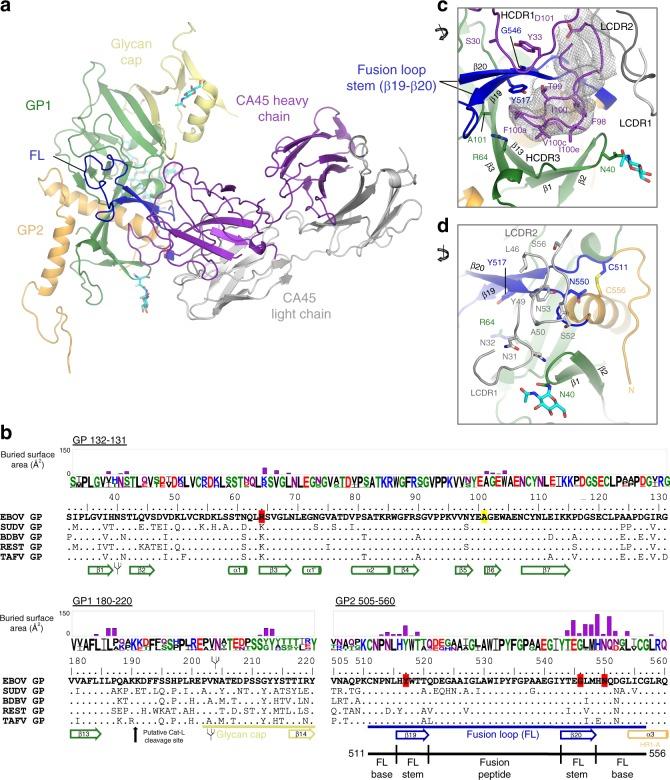 https://cdn.ncbi.nlm.nih.gov/pmc/blobs/1f01/6158212/d27a53f44553/41467_2018_6113_Fig2_HTML.jpg