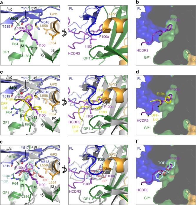 https://cdn.ncbi.nlm.nih.gov/pmc/blobs/1f01/6158212/d4f747f5caf7/41467_2018_6113_Fig5_HTML.jpg