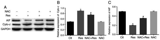 https://cdn.ncbi.nlm.nih.gov/pmc/blobs/1f01/7550979/0df110bf226e/OR-44-05-1821-g05.jpg