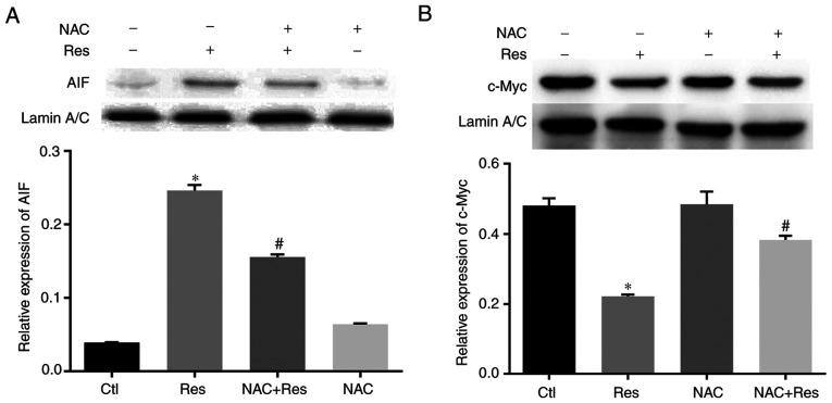 https://cdn.ncbi.nlm.nih.gov/pmc/blobs/1f01/7550979/3f60bd57d426/OR-44-05-1821-g06.jpg