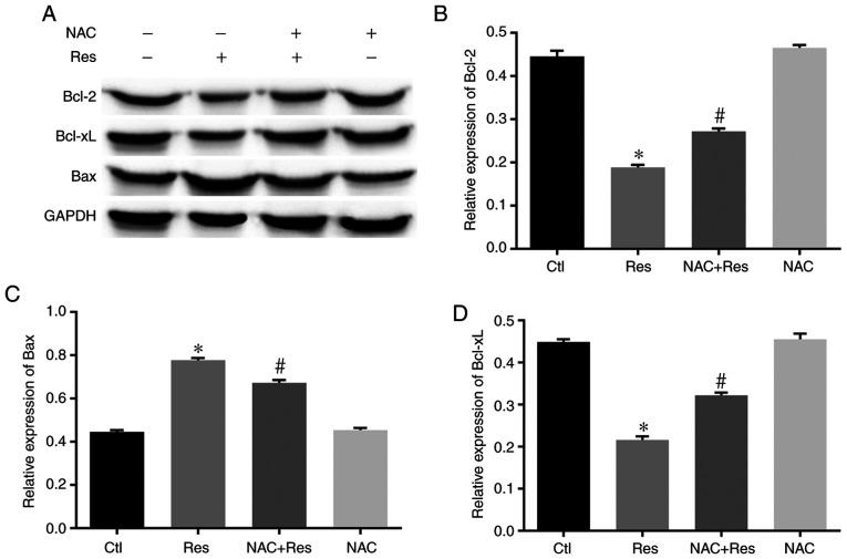https://cdn.ncbi.nlm.nih.gov/pmc/blobs/1f01/7550979/8686fd571f71/OR-44-05-1821-g04.jpg