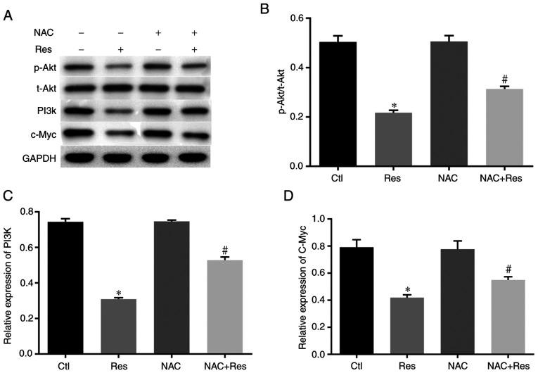 https://cdn.ncbi.nlm.nih.gov/pmc/blobs/1f01/7550979/cab057087d78/OR-44-05-1821-g07.jpg