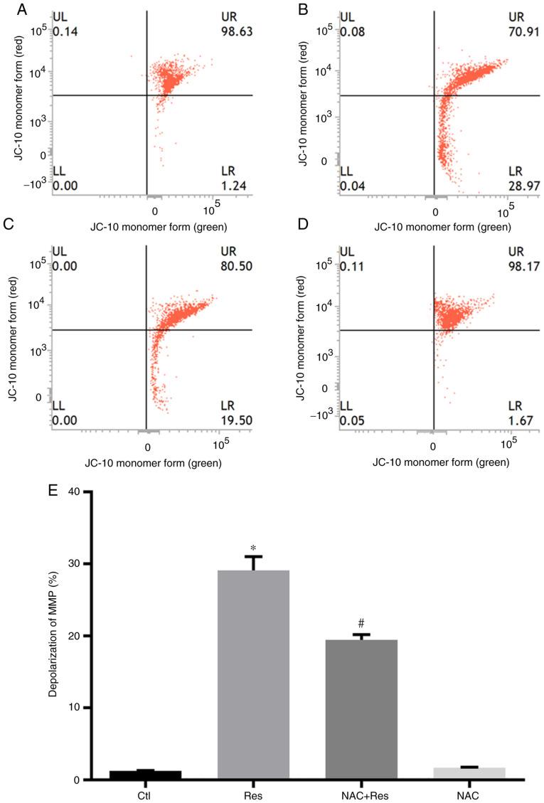 https://cdn.ncbi.nlm.nih.gov/pmc/blobs/1f01/7550979/d83f10a3aac7/OR-44-05-1821-g03.jpg