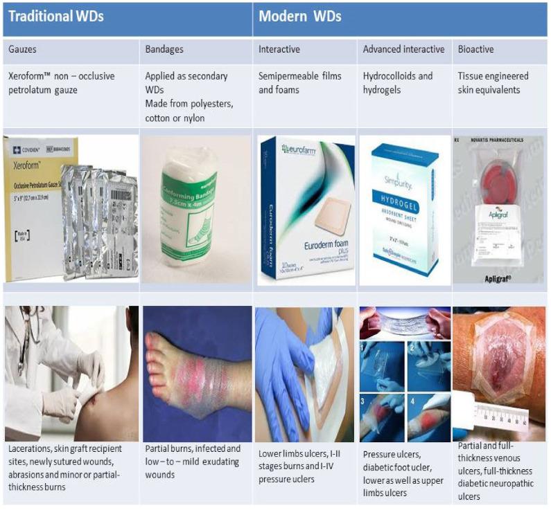 https://cdn.ncbi.nlm.nih.gov/pmc/blobs/1f02/8472341/f21539b06e7b/biomedicines-09-01235-g002.jpg