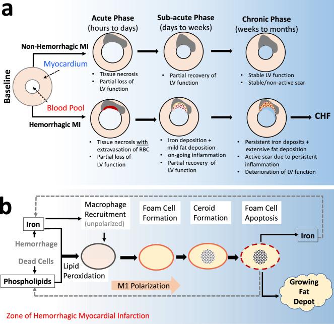 https://cdn.ncbi.nlm.nih.gov/pmc/blobs/1f02/9613644/3be427c78aa9/41467_2022_33776_Fig1_HTML.jpg