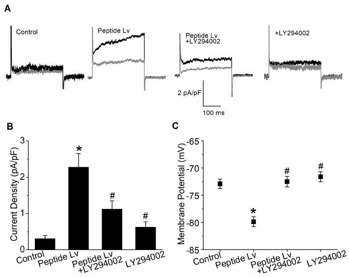 https://cdn.ncbi.nlm.nih.gov/pmc/blobs/1f03/10296961/ef3af94c9bc1/cells-12-01651-g006.jpg