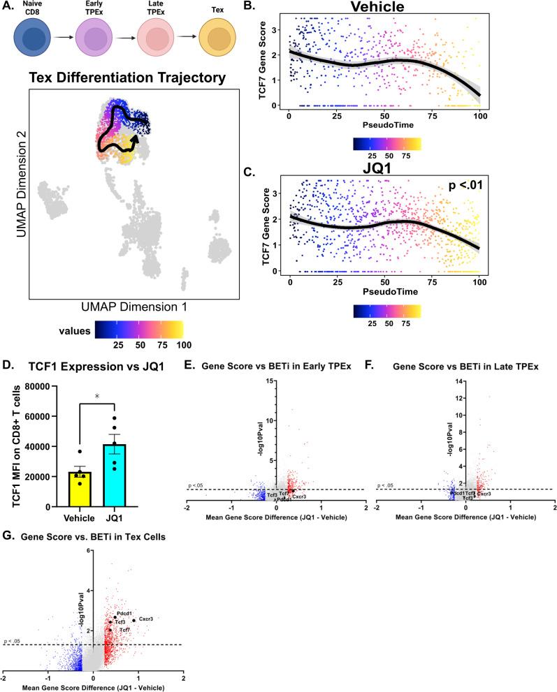 https://cdn.ncbi.nlm.nih.gov/pmc/blobs/1f04/9991923/7fc47d7b4369/41375_2023_1808_Fig6_HTML.jpg